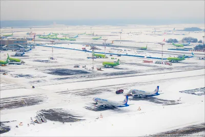 Замерзший терминал: Фотографии Аэропорта Домодедово зимой