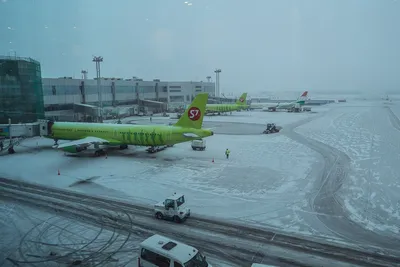 Зимний аэропортский этюд: Фотография Домодедово в январе