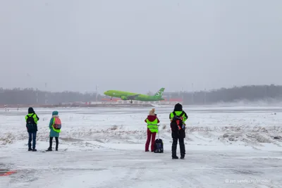 Аэропортский фронт: Фотка Аэропорта Домодедово на фоне зимы