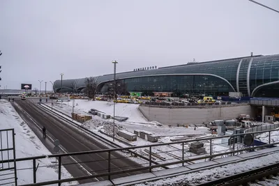 Ледяное волшебство: Фотографии Аэропорта Домодедово зимой