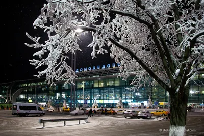Стужа и аэропорт: Картинки Домодедово зимой