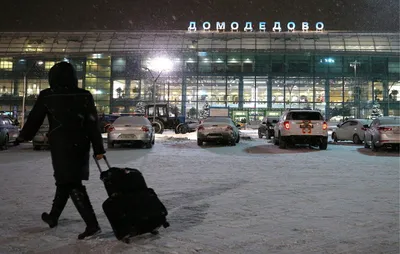 Зимний аэропортский альбом: Фото и изображения Аэропорта Домодедово