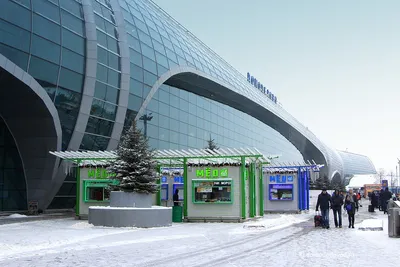 Зимняя атмосфера: Изображения Аэропорта Домодедово