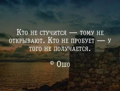 Картинки с афоризмами про жизнь и любовь: выберите размер изображения и скачайте в форматах JPG, PNG, WebP