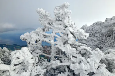 Зимний фотоальбом: Ай Петри в лучшем качестве для скачивания