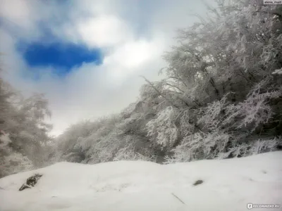 Зимние перспективы: Фотографии Ай Петри для скачивания в JPG