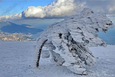 Снежная гармония: Фотоальбом Ай Петри с разными форматами