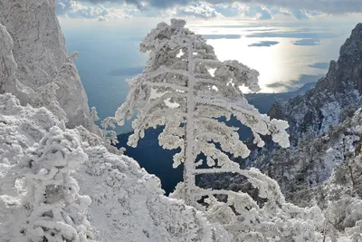 Ай Петри зимой: 15 потрясающих изображений заснеженной красоты