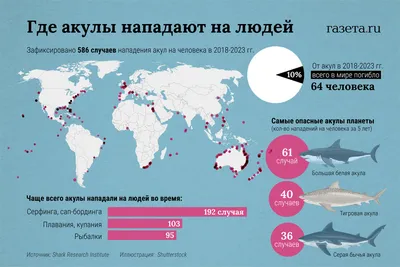 Нападение хищника: акула в действии