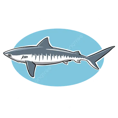 Фотография акулы рыбы - погрузитесь в мир морских тайн