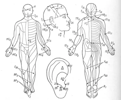 Фотография акупунктурных точек на теле человека: различные форматы