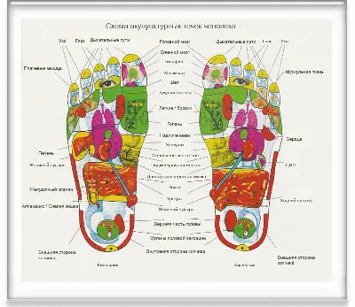 Фото акупунктурных точек: размеры изображения на выбор