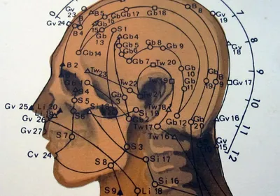 Изображение акупунктуры на человеке: выберите формат скачивания