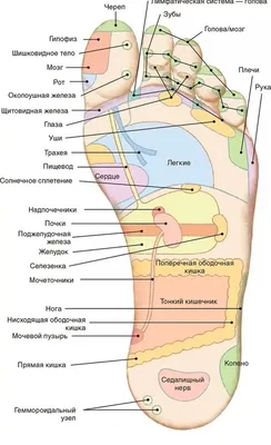 Фото акупунктурных точек на человеке: различные размеры JPG