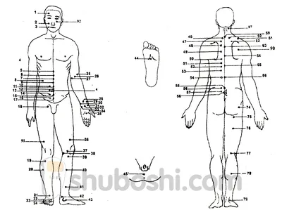 Акупунктурные точки человека: доступные форматы для скачивания