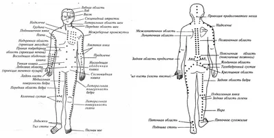Акупунктурные точки на теле человека фотографии