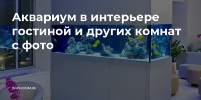 Подводный мир в фотографиях: аквариум в гостинной