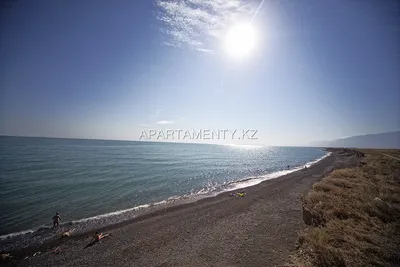 Погружение в мир Алаколь озера через фотографии