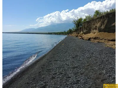 Фото Алакольского озера