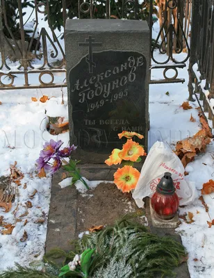 Портрет Александра Годунова: великолепное фото в JPG