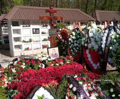 Фотография кинозвезды Александра Тютрюмова на изображении