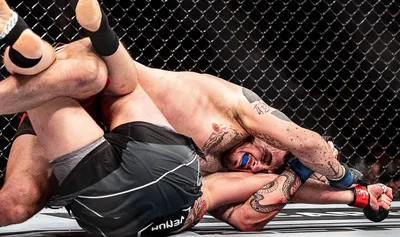 Александр Волков: лучшие фото бойца UFC