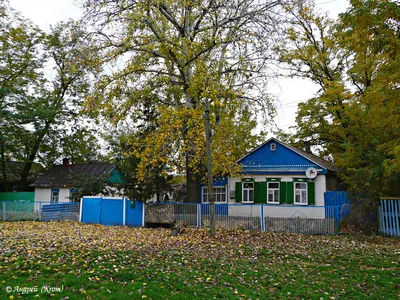 Природные рисунки Александровского леса, нарисованные самой природой