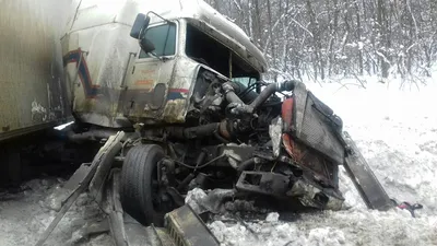 Уникальные картинки Алексея Нарицина с возможностью выбора формата