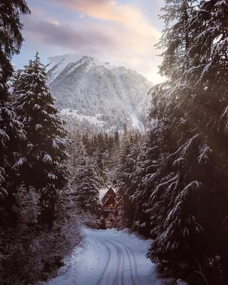 Магия Аляски в холодные месяцы: Фотографии зимнего великолепия