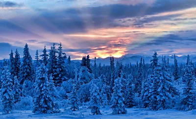 Зимние сказки Аляски: Увлекательные фото в различных форматах