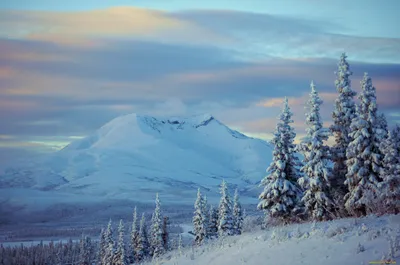 Аляска зимой фотографии