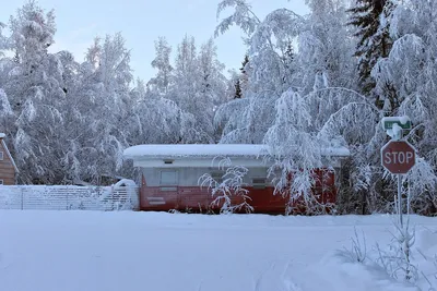 Эпические зимние кадры: Фото Аляски в JPG, PNG, WebP