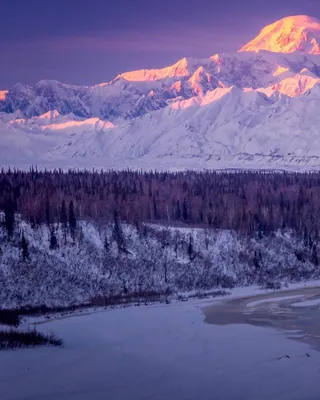 Изысканные фотоальбомы: Аляска зимой в JPG, PNG, WebP