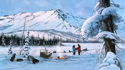 Искусство зимы: Очаровательные изображения Аляски