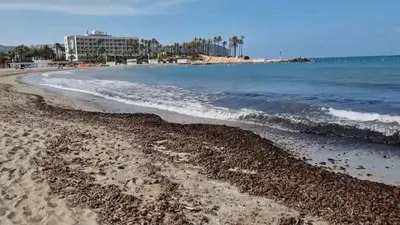 Аликанте: Пляжи, чтобы забыть о реальности