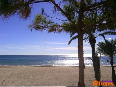 Фотографии пляжей Аликанте: Идеальное место для отдыха