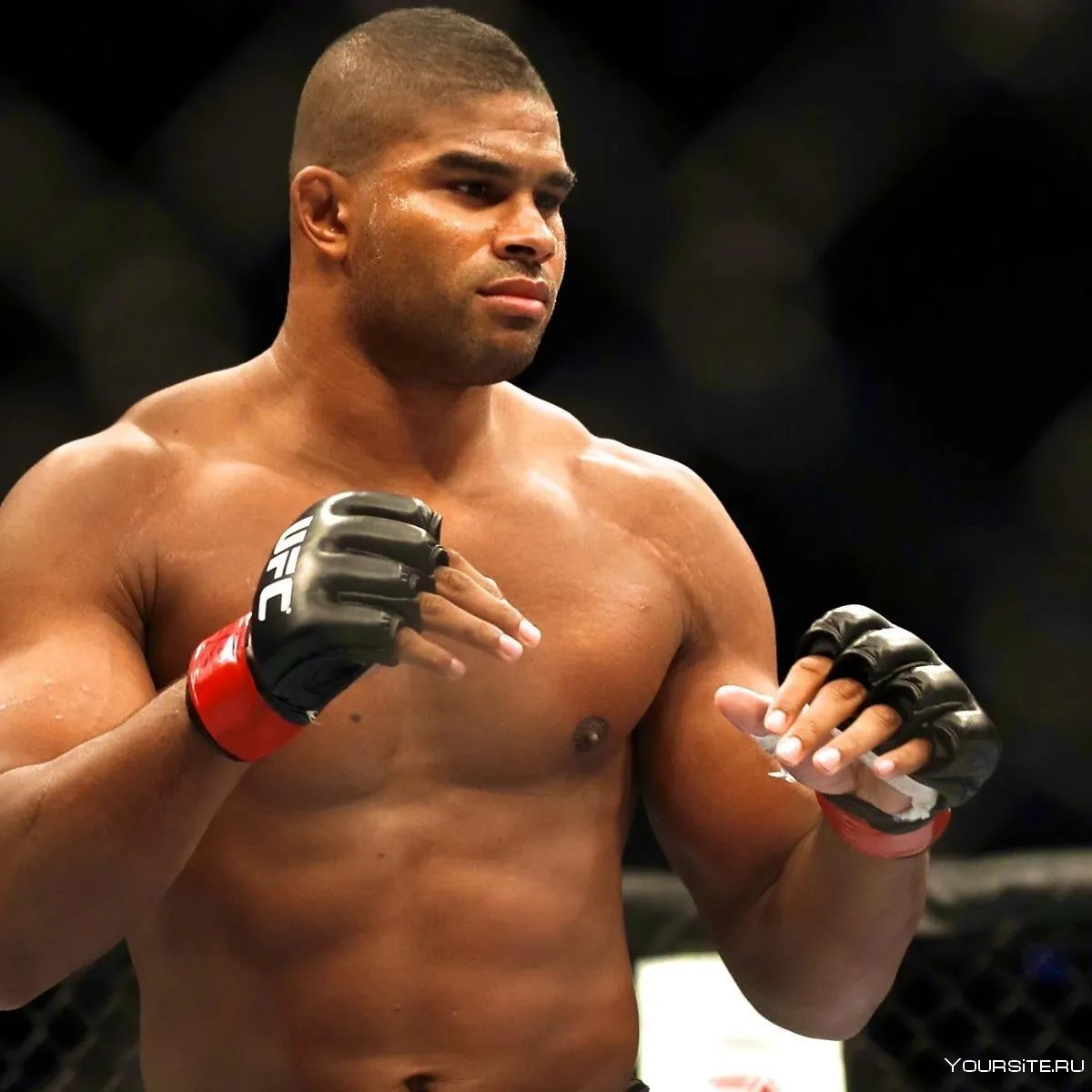 Alistair Overeem