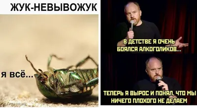 Весёлые фотографии алкоголиков, готовые развеселить каждого