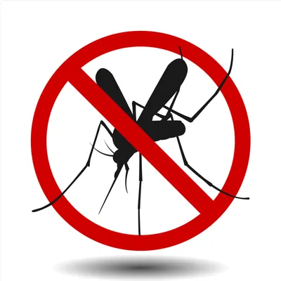 Укус комара и аллергическая реакция: фотографии и подробности