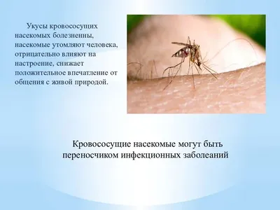 Укус комара и аллергия: фото и объяснение