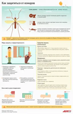 Изображения аллергии на комаров 2024 года
