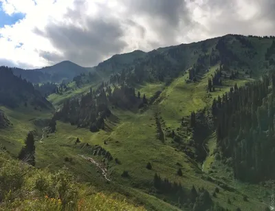 Безграничные просторы и высокие вершины Алматы на фото