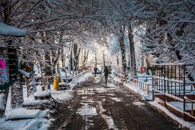 Зимние чудеса Алматы: фотографии в высоком разрешении
