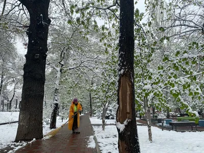 Зимняя сказка: Алматы на удивление красива
