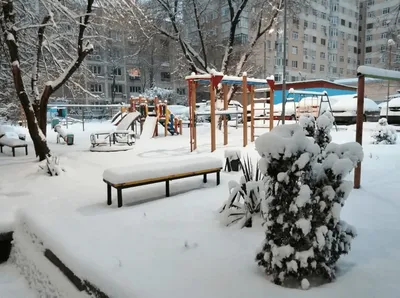 Зимний рай в каждой фотографии: Алматы в высоком качестве
