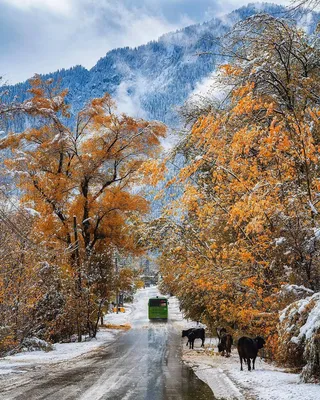 Зимние впечатления: красочные моменты Алматы на ваш выбор