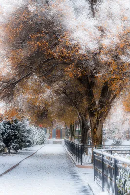 Зимние картинки Алматы: выбирайте свой идеальный размер