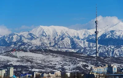 Искусство зимы: изображения Алматы в формате JPG, PNG, WebP
