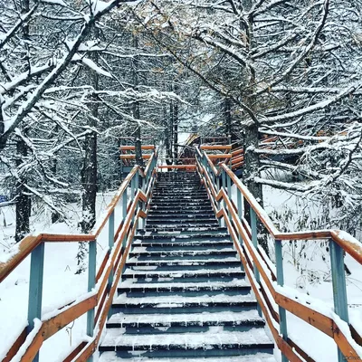 Алматы под снегом: уникальные моменты в каждой фотографии