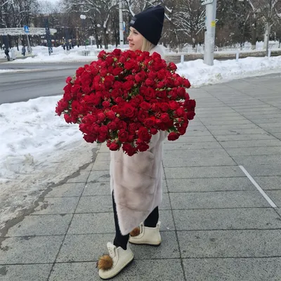 Фотография прекрасной алой розы для скачивания